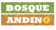 Bosque Andino